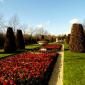 Regent's Park gardens are a great place to visit