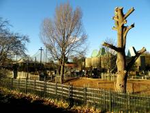 London Zoo based in Camden based Regent's Park